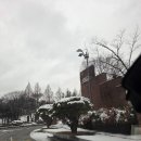 한국과학기술원 | 2026 입학식후기 , KAIST(한국과학기술원) — 대한민국 대표 이공계 특성화대학