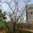 오륙도중학교 이미지