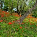 돝섬해상유원지 이미지