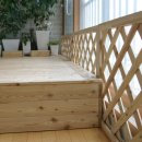 래티스(LATTICE) 이미지