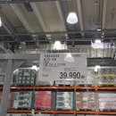 (봄맞이) 홈가드닝 | 코스트코 2월 원예용품 쇼핑 후기 | 구근·액비·화분 가성비 정리