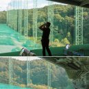 다일락스포렉스 이미지