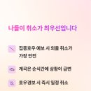 호우호우 티스토리