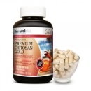 하가누리 이미지