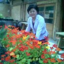 가나안농장 이미지