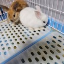 매산리 538 이미지