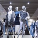 닥스키즈롯데