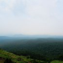 사라의 정원 이미지