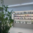 보그헤어샵 이미지