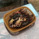 장군멍군식당 이미지