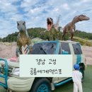 (경남 고성) 2023년 공룡세계엑스포 축제 13개월 27개월 아기랑 함께 가볼만한 곳 고성당항포랜드 이용후기