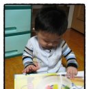 과일파티 Daum카페