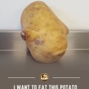 In honour of 🥔 이미지