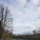 대왕농장2 이미지