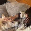 이상순 카카오 검색결과