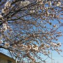 영흥면사무소 이미지