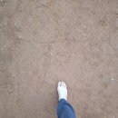 당곡 운동장 이미지