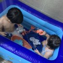 잎새반 정지후 뿌리3반 정민결 여름방학😍 이미지