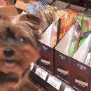 견생냥품 무인24시 안성 아양점 | 망고랑 데일리 산책코스 , 안성 무인 애견용품점 견생냥품