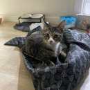 김밥천국(서계동) | [일상] 2주 일기 23.11.14~28 | 뚜기 육아와 이직 준비와 놀기