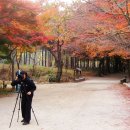 1박2일 이미지