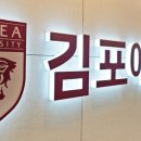 김포에이스신경외과의원 이미지