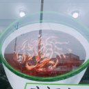 전라도 손팥칼국수 이미지