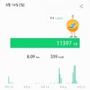 김밥산책 이미지