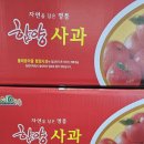 꼬마 )홍로 판매합니다. 이미지