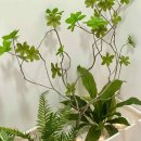 스테이수채화 이미지