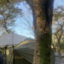 청천화양동관광농원  초롱이 캠핑장 이미지