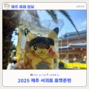 포포아일랜드 | [제주축제후기] 2025년 포켓몬런 후기