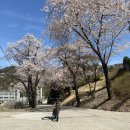 갈마치 영장산 야탑 원적정사 야탑 이미지