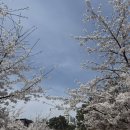 금화로82번길 | 교회 추천, 루터대학교 교회, 상갈동 교회, 팔복루터교회 한달 다닌 후기(루터교회는 사이비인가요?)