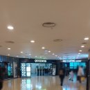 퀴즈노스제주 이미지
