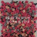 3월 9일 금요일- 제다이배 번개를 개최합니다.(오메가2) 이미지