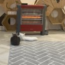 고양이별 캣 카페 이미지