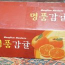 제주 감귤 : 하례농산 맛있는 제철 과일 겨울필수템 추천