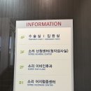 임신 36주차 이슈 - 돌발성난청 진단 및 호전 상황(청담소리이비인후과, 빈혈)