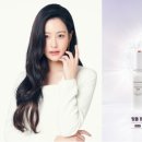 인셀덤시크릿