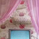 모범약국 이미지