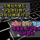 덕회축산 | 기계식키보드 축종류 및 나의 구매후기