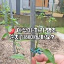 선순농장 네이버블로그