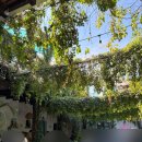 하산점현대자동차 | 🇬🇹Day20 파카야 투어로 만족할 수 있을까::안티구아 맥도날드, 세계 100대 카페 Coffea Guatemala, 파카...