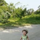 흙이랑 나무랑 이미지