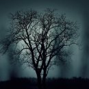 단계동길 이미지