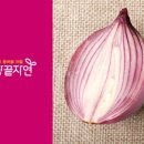 초호영농조합법인 이미지