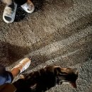 홀-세일마트 이미지