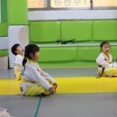 고려용호태권도 이미지