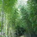 강진허브 이미지